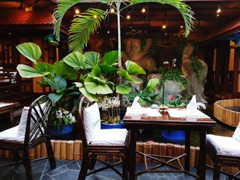 Potted plants on table in restaurant