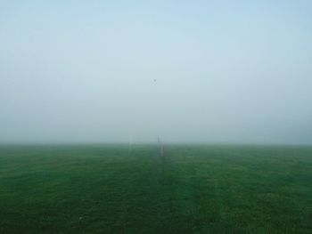 Scenic view of grassy field in foggy weather