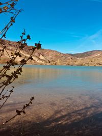 Scenic view of lake against clear blue sky