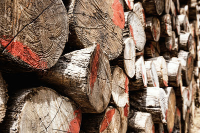 Full frame shot of logs in forest