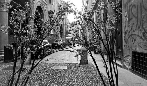 Street amidst buildings in city