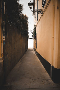 Narrow alley along buildings