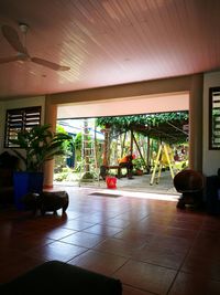 Potted plants on wooden floor