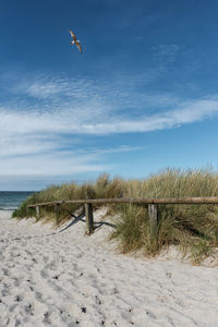 Scenic view of beach against blue sky