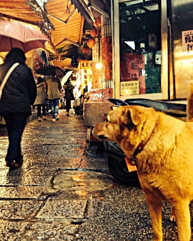 PEOPLE WALKING ON STREET