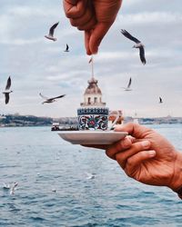 Low angle view of seagulls flying over sea