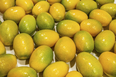 Close up kumquat fruits on white background