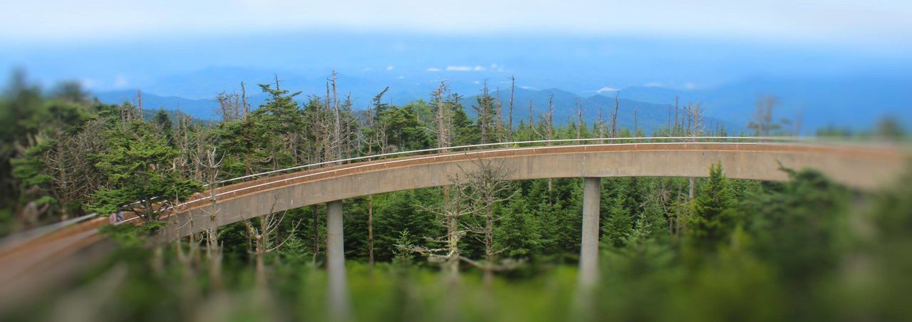 road, transportation, tree, mountain, bridge - man made structure, curve, landscape, nature, scenics, outdoors, plant, no people, day, winding road, sky