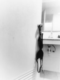 People in bathroom at home