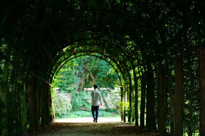 Rear view of two people walking in forest