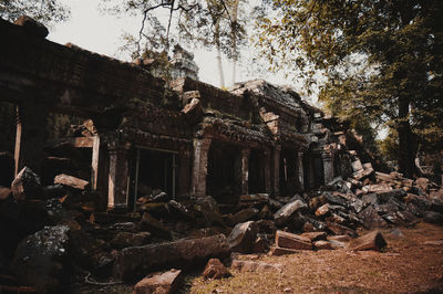 Old building by trees