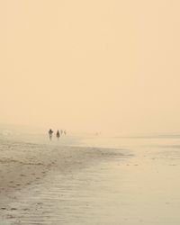 People on beach against clear sky