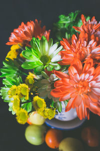 Close-up of orange flowers