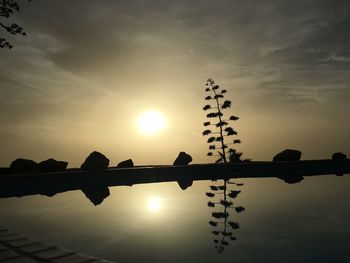 Low angle view of silhouette birds against sky during sunset