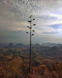 Scenic view of mountains against cloudy sky