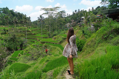 Rear view of woman amidst plants on field against sky