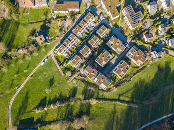 High angle view of trees and houses in town