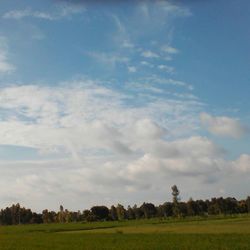 Trees on grassy field against cloudy sky