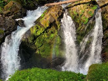 Scenic view of waterfall in forest