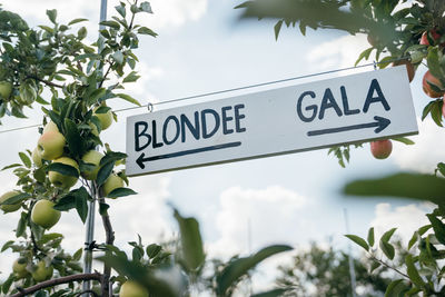 Low angle view of road sign against plants