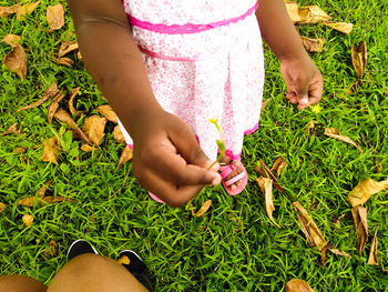 Low section of girl holding plant while standing on grassy field