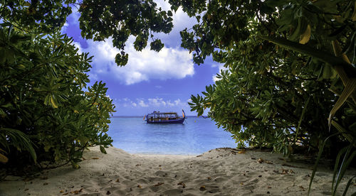 Scenic view of sea against sky