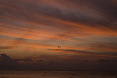 Scenic view of sea against orange sky