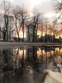 Bare trees by lake against sky during sunset