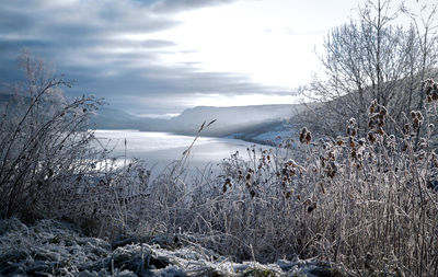 Scenic view of snow covered land against sky