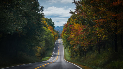 Road amidst trees during autumn