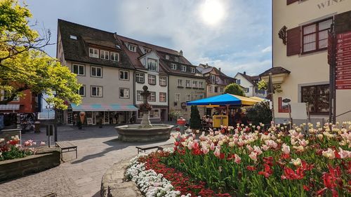 Buildings in city