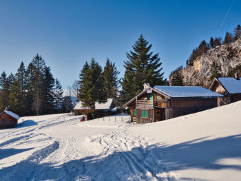 Snow covered houses by trees against sky