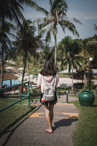 Rear view of woman walking on palm trees