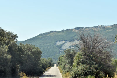 Road amidst trees against clear sky