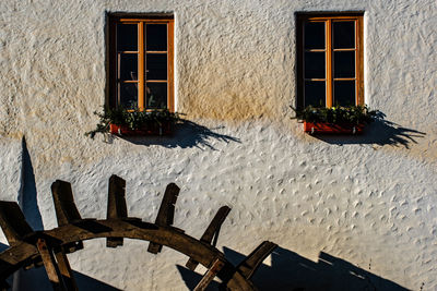 Potted plant on wall of building