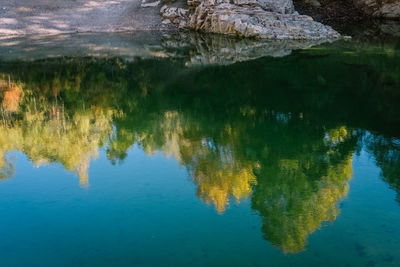 Reflection of trees in lake