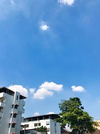 Low angle view of trees against blue sky