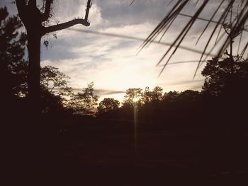 Silhouette trees against sky during sunset