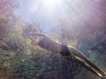 Fish swimming in sea