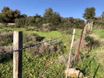 Fence on field