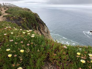 High angle view of scenic view of sea