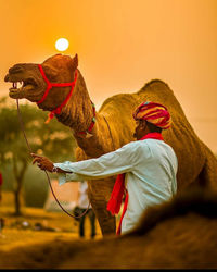 Side view of man with camel in desert