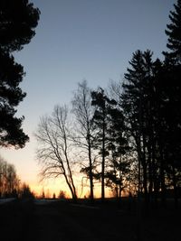 Silhouette trees in forest against sky at sunset