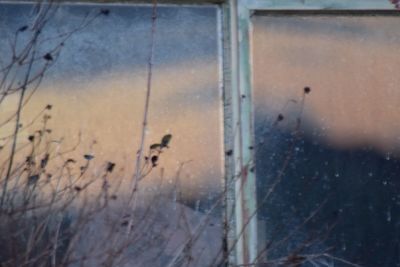 Close-up of water against sky