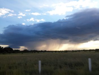 Scenic view of field against sky during sunset