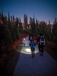 Rear view of people walking on road in forest