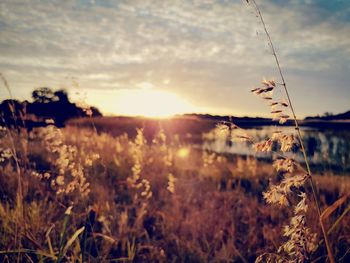 Scenic view of landscape against sky at sunset