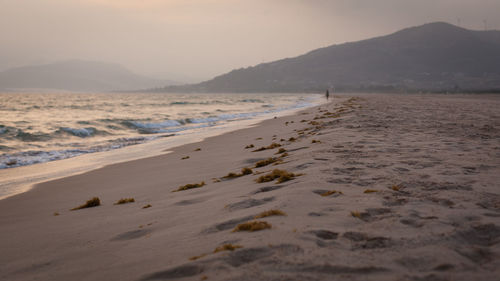 Scenic view of beach against sky during sunset