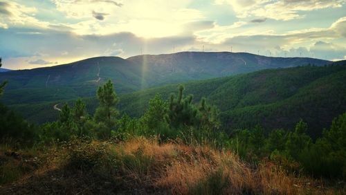 Scenic view of landscape against sky