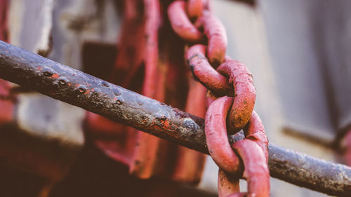 Close-up of chains